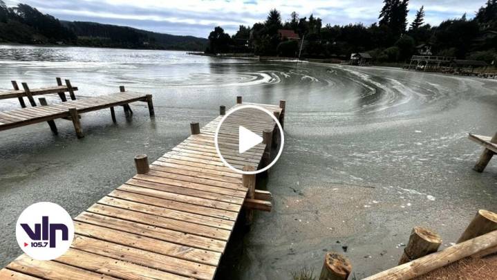 Diputado Guzmán por contaminación en el Lago Vichuquén: “Solicitamos al Presidente que se decrete emergencia sanitaria”