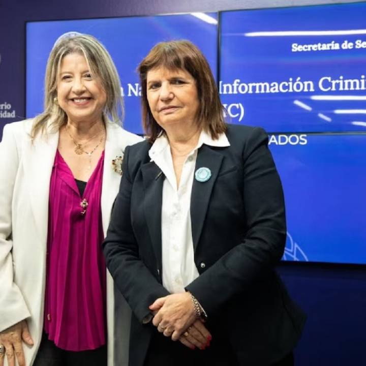 Reforma en Seguridad: crearán una policía migratoria para reforzar los controles en las fronteras