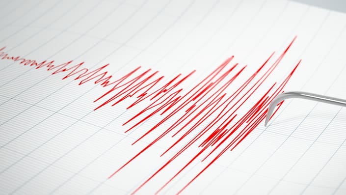 SHOA descarta riesgo de tsunami en Chile tras temblor 6,5 registrado frente a las costas de Tonga