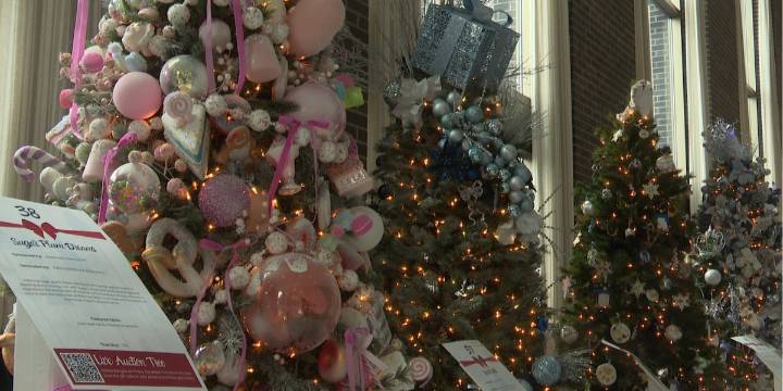 Festival of Trees returns with a mission