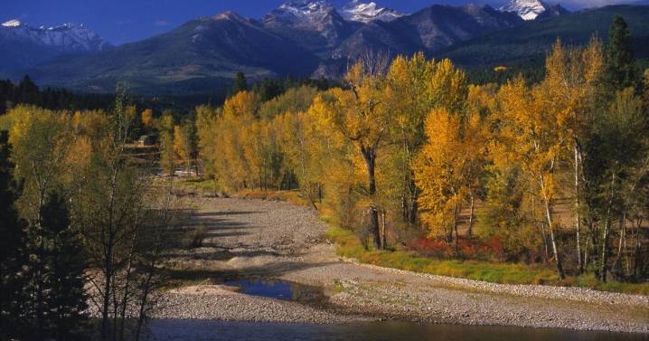 The Selway-Bitterroot Wilderness: A cross-boundary national treasure