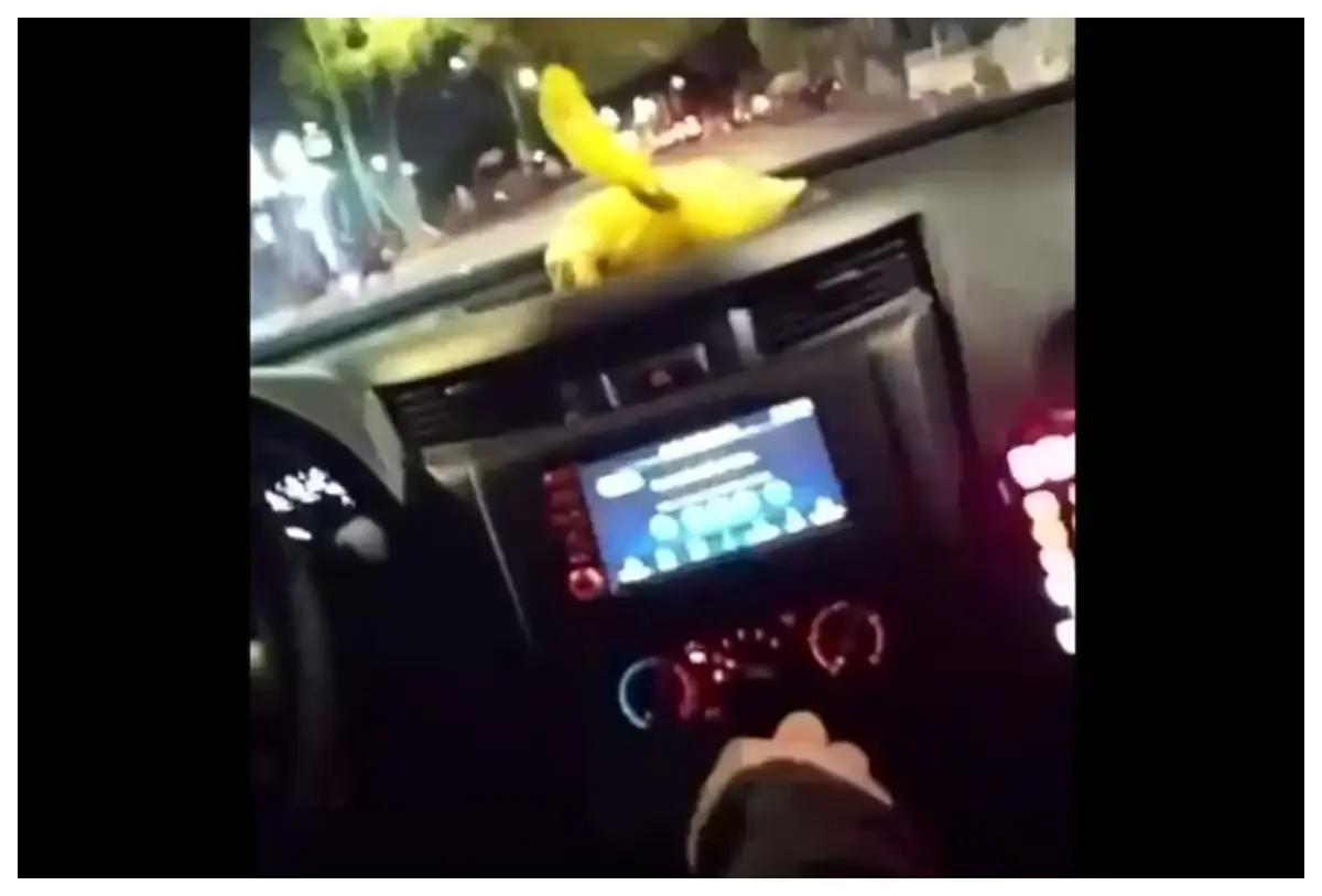 “Le dispararon a mi esposo”: mujer acusa a policías de SLP de herir en la cabeza a un hombre durante un operativo