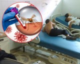 El dengue no da tregua en Santa Marta: más casos y mayor presión en los centros de salud