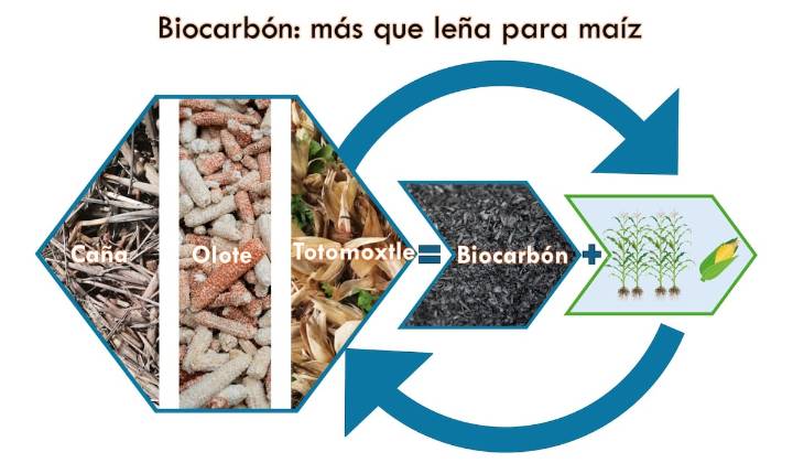 Biocarbón: más que leña para maíz