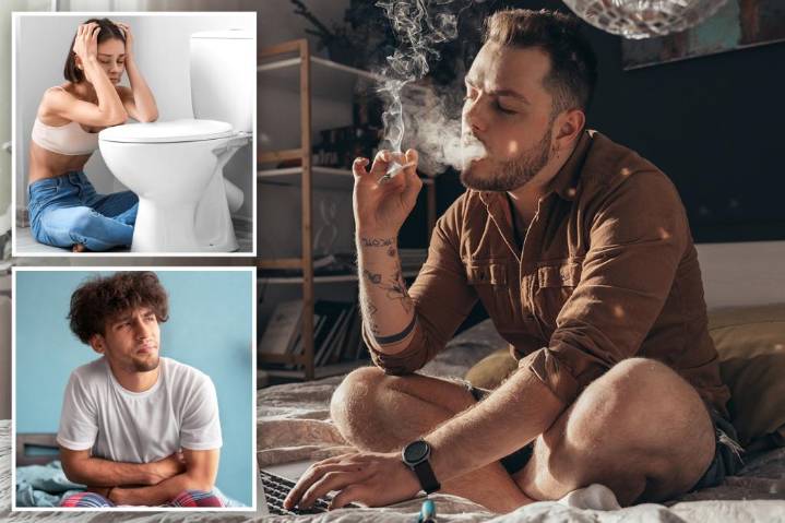 Chronic pot smokers warn 'scromiting' worse than childbirth