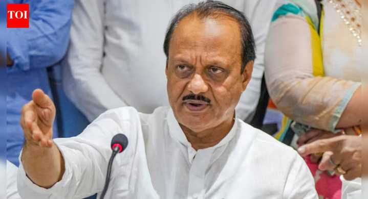 'You have votes, I have funds': Ajit Pawar tells voters; claims 'if you reject' NCP candidates then 'I'll reject you'