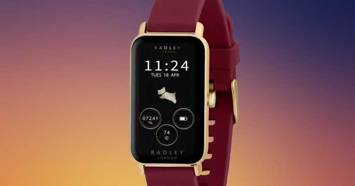 Radley watch drops to £12.49 from £49.99 in cashback deal as Black Friday sales drop