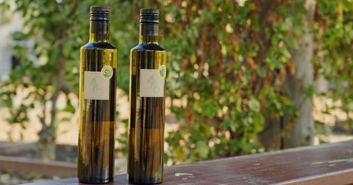 Growing and learning at Edible Schoolyard Kern County