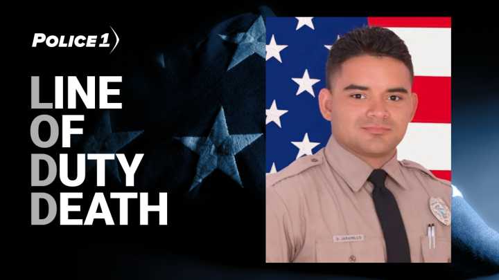 Suspect disarms Fla. deputy at traffic crash, fatally shoots him