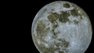 Fechas y horarios de la Luna llena de noviembre: todo sobre la Superluna del Castor