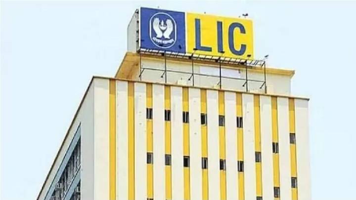 LIC Q2 results: Profit rises 31% YoY to Rs 10,098 crore; premium income up 5%