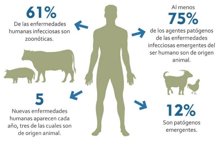 Las enfermedades que se transmiten de animales a humanos
