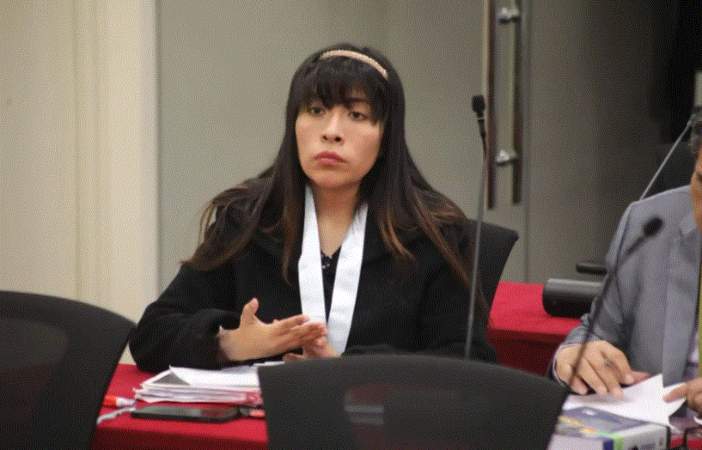 Canciller Hugo de Zela: Betssy Chávez no es una perseguida política