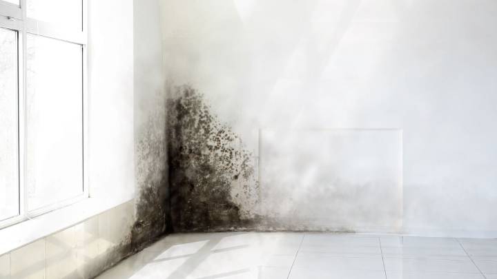 El truco definitivo de una experta en limpieza para eliminar el moho en las juntas de los grifos con un sólo ingrediente