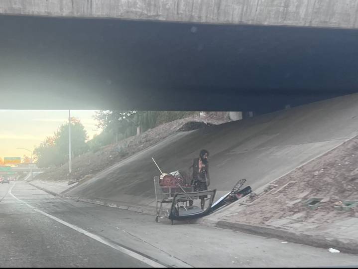 Pedestrian killed while walking on 405 Freeway in Van Nuys