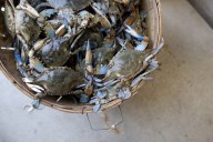 MdFoodieBoyz pick Maryland crabs; restaurants give SNAP relief