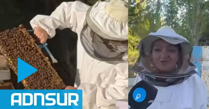 23:48 Cómo es el trabajo de los apicultores en Comodoro para fortalecer la producción de miel