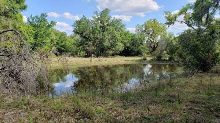 This land along the Myakka River is now protected from development
