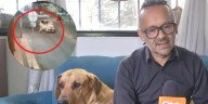 Buscan a taxista que atropelló a un hombre y a su perro y se dio a la fuga en Santa Fe, Bogotá