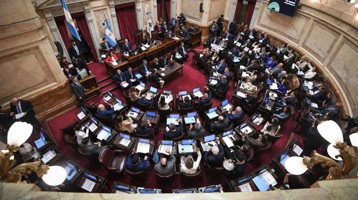Última sesión ordinaria en el Senado: UxP buscará sancionar la ley qu le pone freno a los DNU, pero los libertarios se oponen