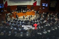 Senado regula servicios digitales “sin letras chiquitas”; podrán darse de baja de forma gratuita