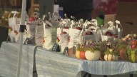 Farmers market steps up as SNAP benefits stall in Western New York