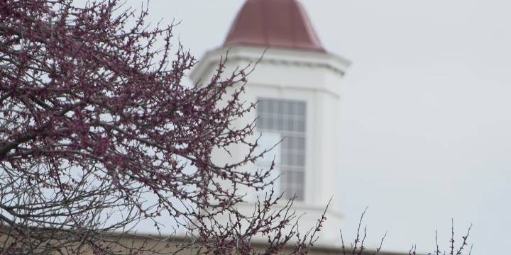 UNL chancellor releases final $27.5M budget reduction plan