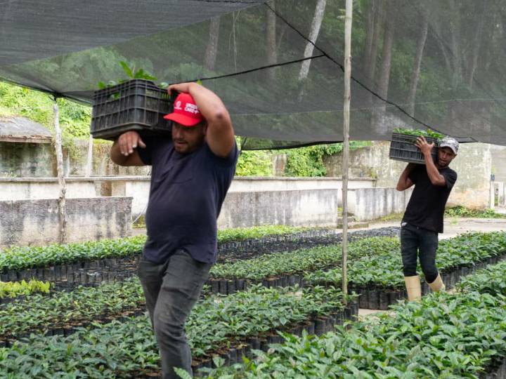 Más de 1.000 productores serán atendidos en nueva Tienda Agrícola en Altagracia de la Montaña 