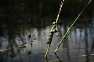 EPA's new clean-water rules: What a rancher, builder, and scientist say