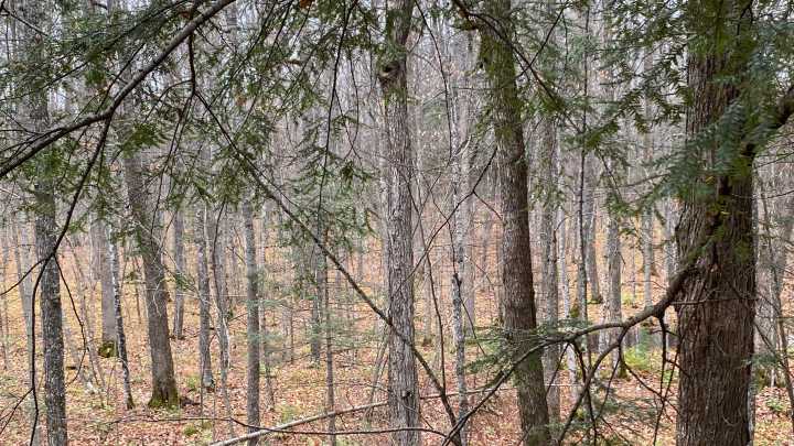 9 special days that give the rest of the year meaning Ron Weber