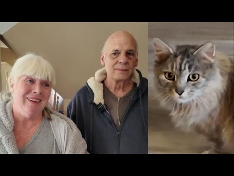 Family impacted by Hurricane Helene reunited with cat after more than 400 days apart