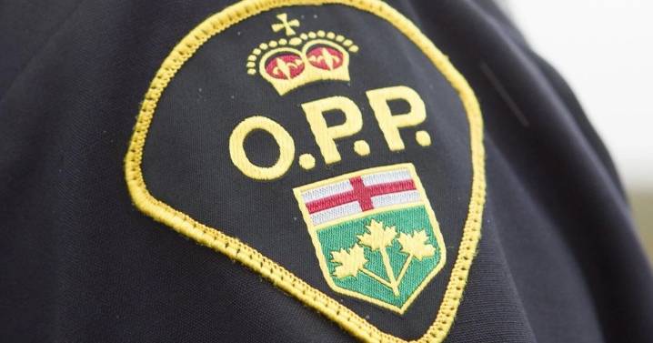 Man dead following fatal collision on Hwy. 401