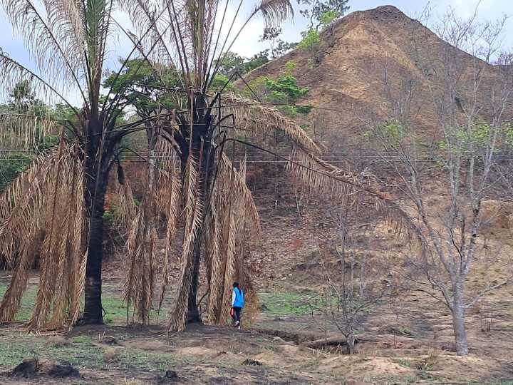 Vuelven las alertas por incendios de cobertura vegetal en la Jurisdicción de Corporinoquia
