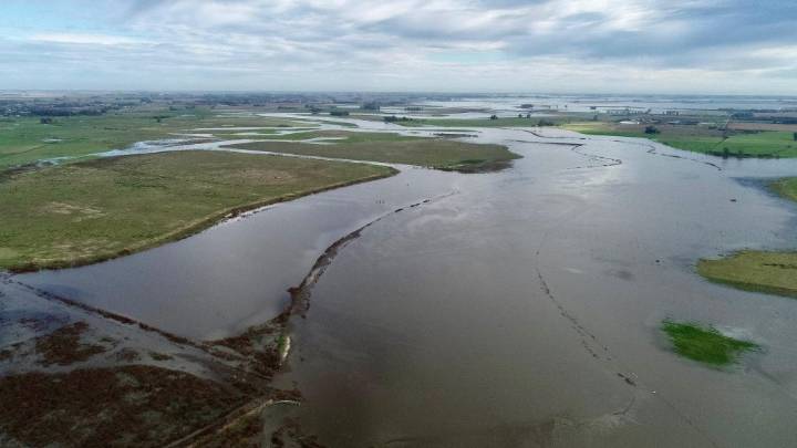 El campo bajo agua: alertan por un daño millonario en la principal zona productiva bonaerense