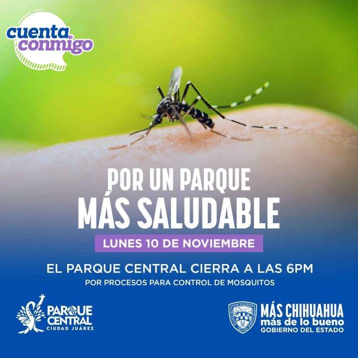 Fumigarán el Parque Central