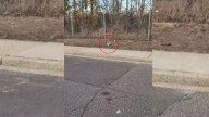 Man Stops To Investigate A Strange Lump On A New York Roadside And Discovers A Life