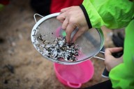 Nurdles are infesting Texas waters; Gov. Abbott pushes for more production