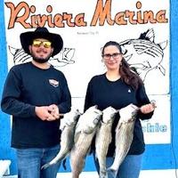 Striper run still going on at Lake Mohave