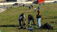 Un centenar de jóvenes transforma un bosque de Pamplona con una plantación que marcará el futuro verde