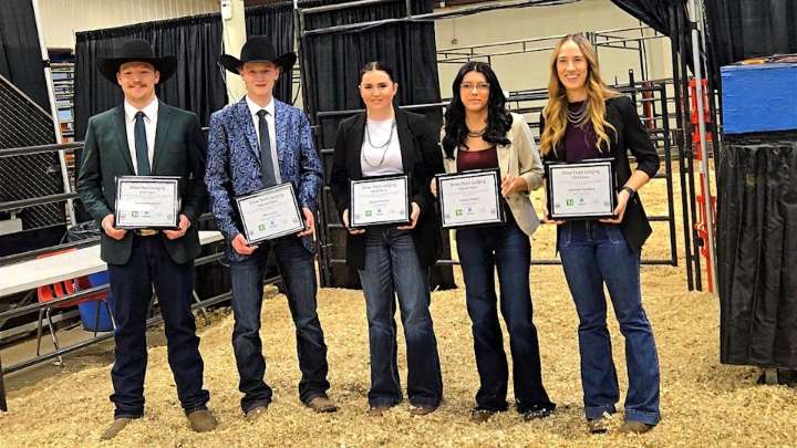Young cattle judges win at 4-H Canadian Finals at Agribition