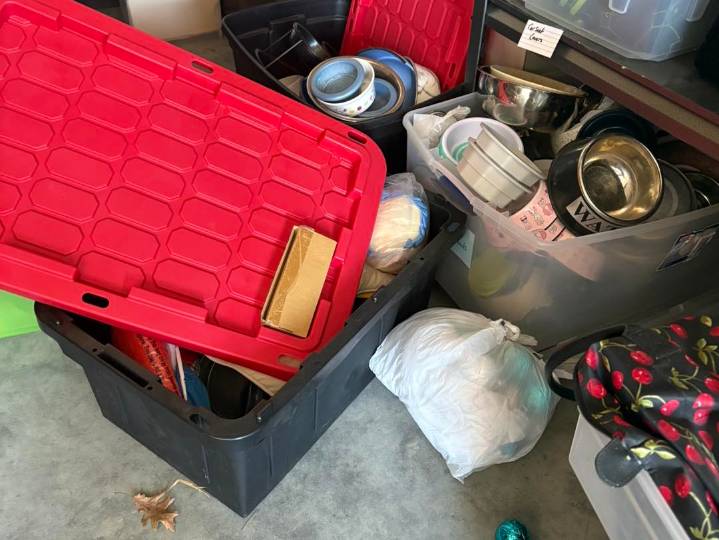 Broken Arrow dog rescue 'heartbroken' after essential supplies stolen