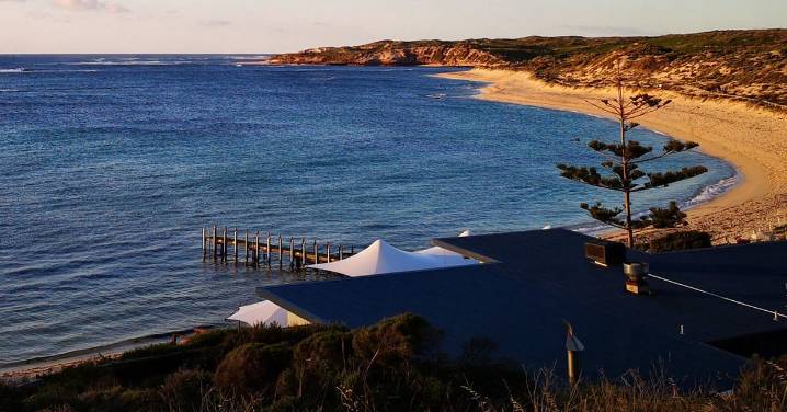 Great white shark bumps diver off popular WA beach
