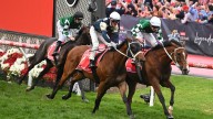 Via Sistina bids to repeat last year’s heroics with Cox Plate
