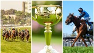 Melbourne Cup 2025 form guide, horses, tips, odds, field, who will win? ever runner rated, predicted first 4