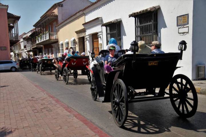 «Coches eléctricos ponen fin al sufrimiento de los caballos cocheros»: César Anaya