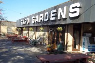 Peoria takes ownership of Expo Gardens after winning property in auction