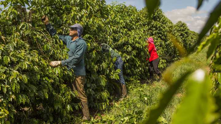 U.S. to unveil tariff exclusions as voters rage over food costs