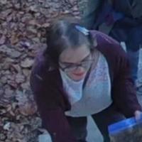 Morgan Geyser found after fleeing group home