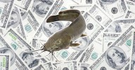 Is Your Match Financially Catfishing You? 50% of People Do It.