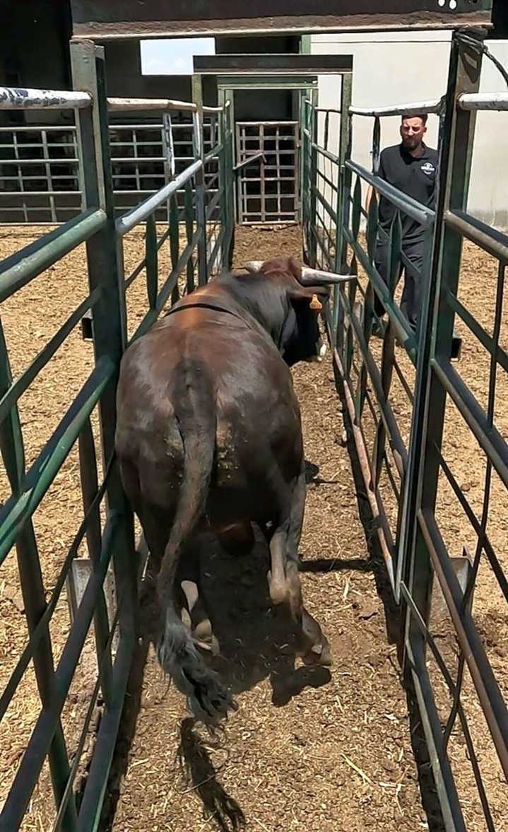 DMAX entra en el corazón del mundo rural